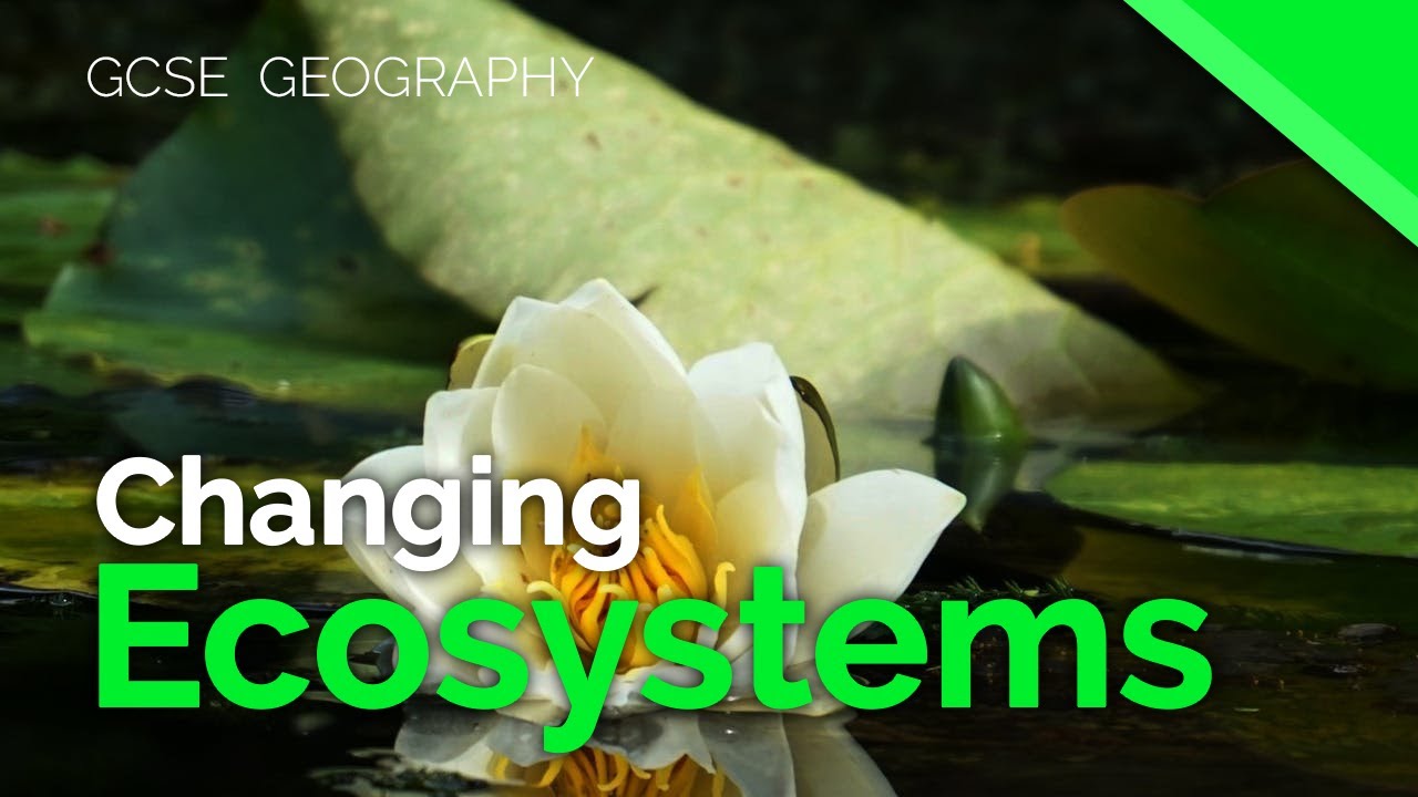 Changes in ecosystems | AQA GCSE 9-1 Geography