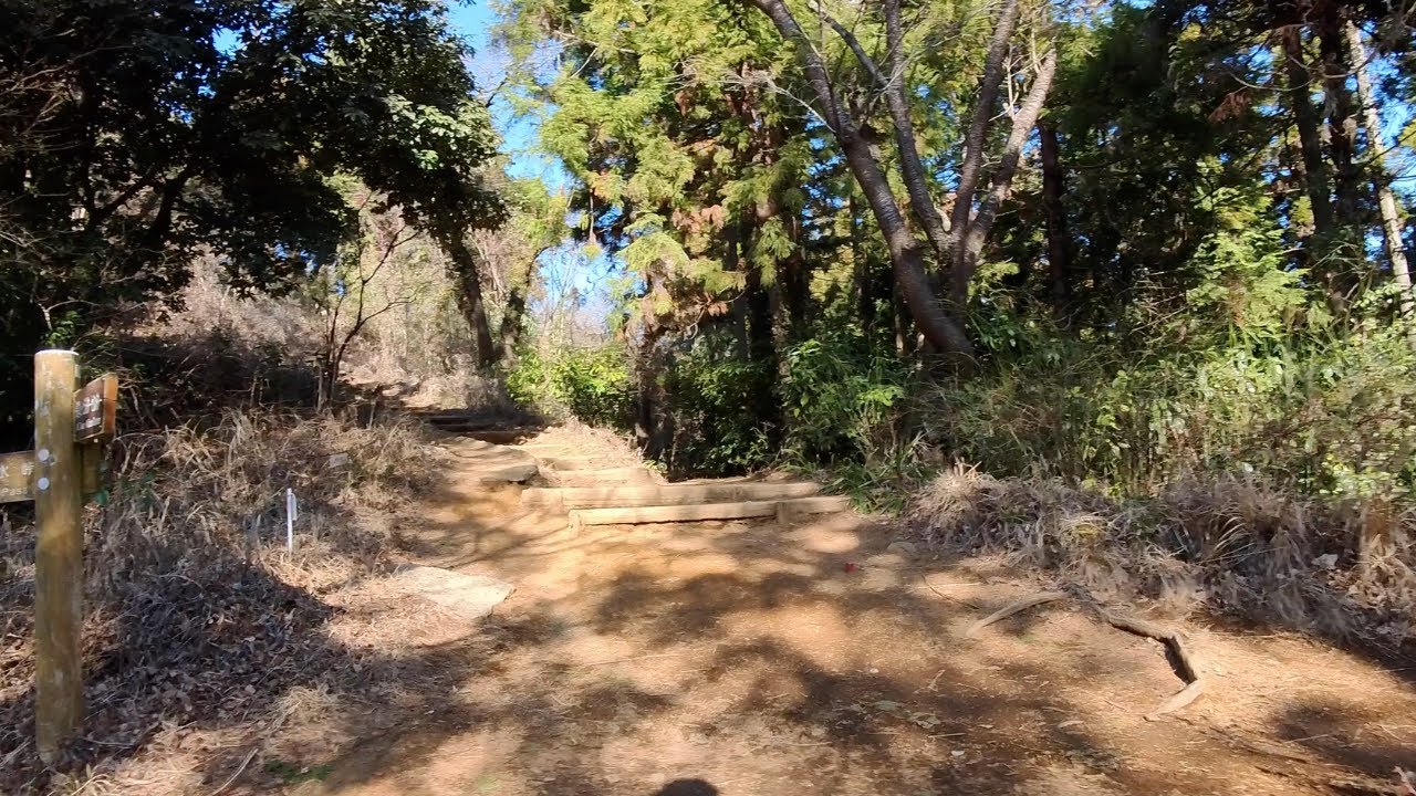 裏高尾から小仏城山周辺を歩いてみた｜A Calm Forest Walk near Mount Takao
