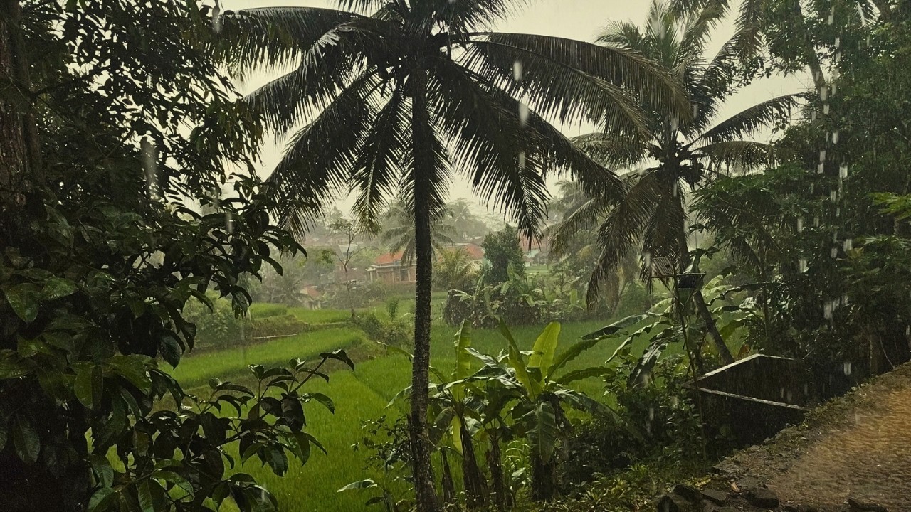 Cozy Rainy 🌧️ | Gentle Sound for Deep Sleep, Study & Relaxation