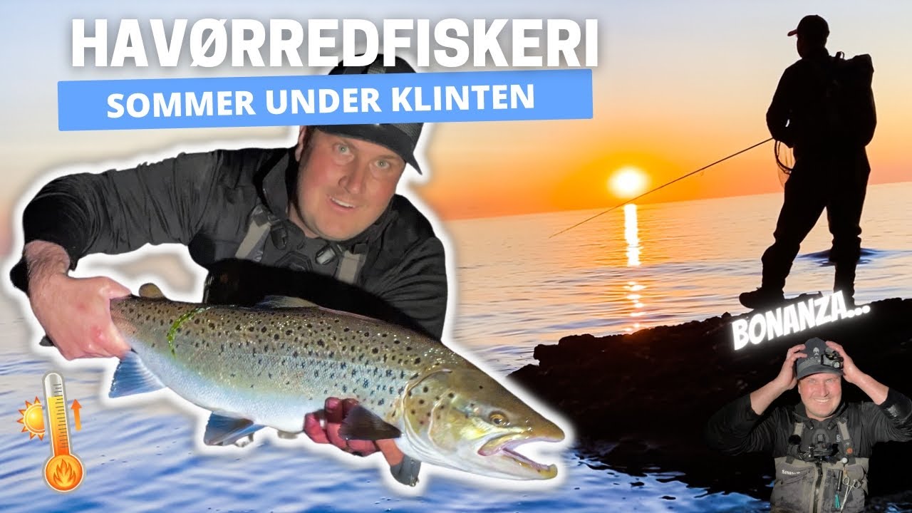 Havørredfiskeri Sommer under Klinten.