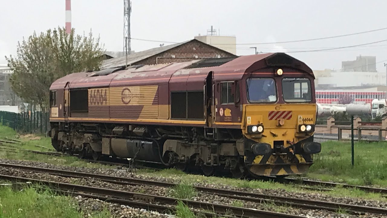 Week-end of 1st May 2023 - Millet Rail Train at Nesle (80) Class 66064, TER AGC and BB 75000