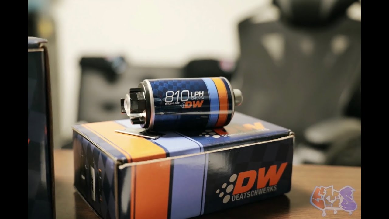 DW 810 the World!