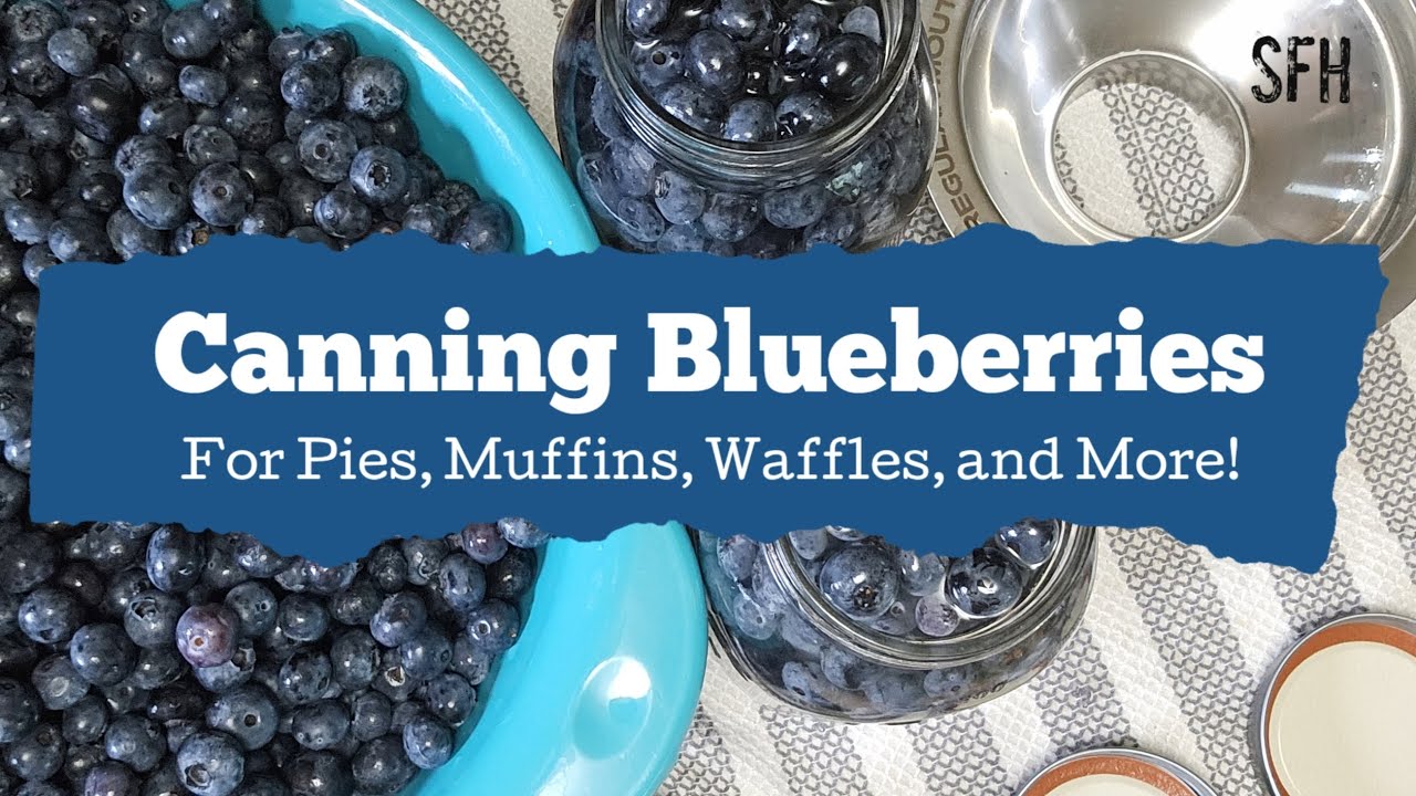 Canning Blueberries - Filling the Pantry One Step at a Time