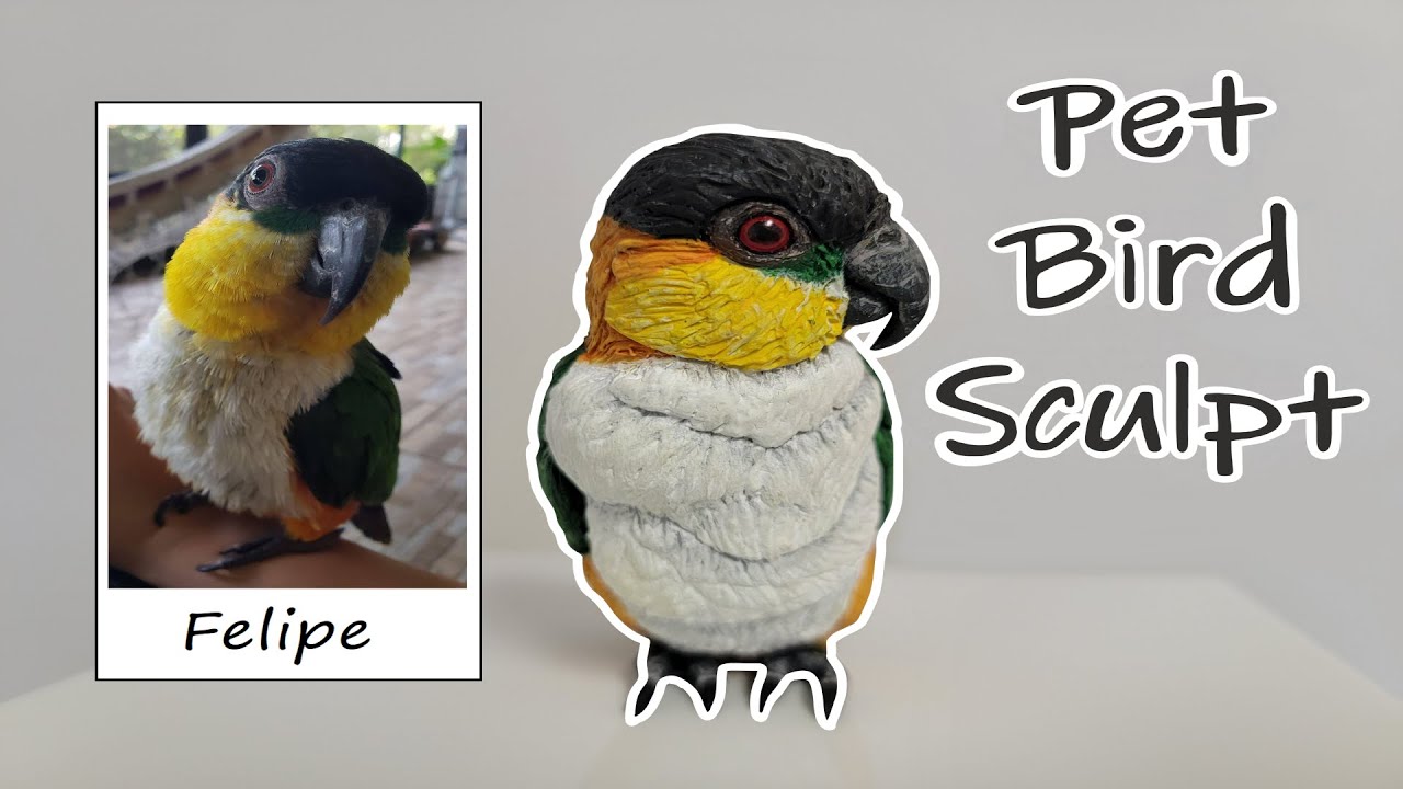 Sculpting a Custom Polymer Clay Pet Bird: Felipe the Caique