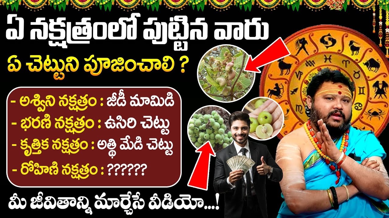 ఏ నక్షత్రంలో పుట్టిన వారు ఏ చెట్టుని పూజించాలి | Astrology Remedies Telugu  @timesbhakthi ​
