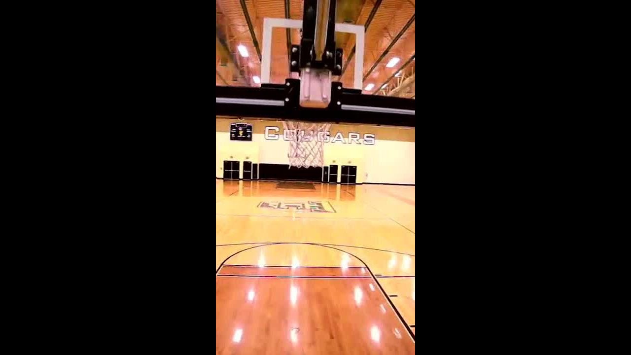Deron Williams' Path to Illinois | Illinois Basketball