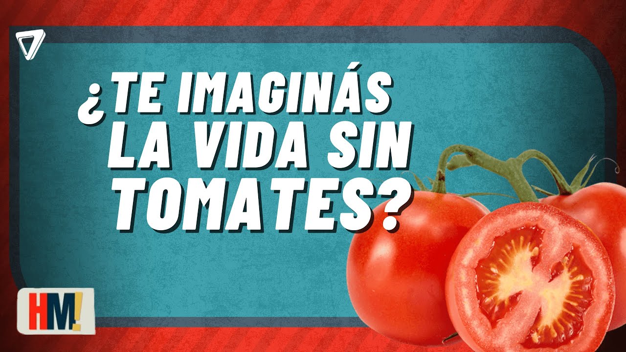 🗓️ Planazo en Mendoza: MÚSICA, feria y los mejores SABORES🍅 en el Festival del Tomate 🎶