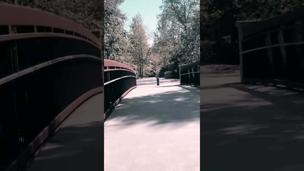 Athens Georgia #exploreathens #travel #shortsvideo #shorts