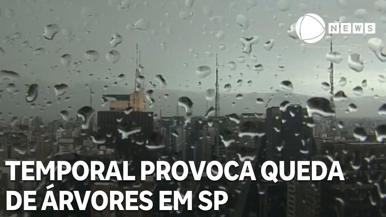 Temporal provoca 500 km de congestionamento, alagamentos e queda de árvores em SP