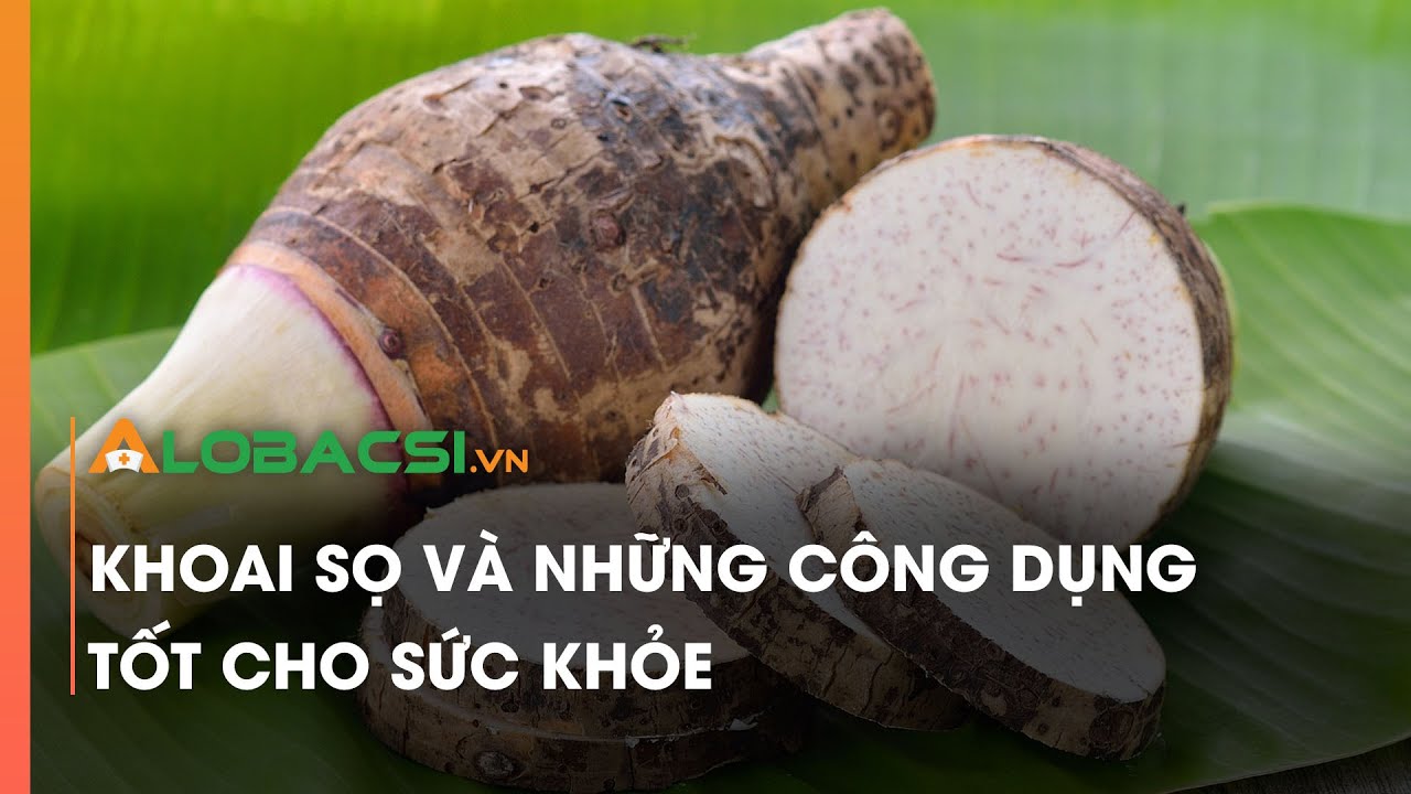 Khoai sọ và những công dụng tốt cho sức khỏe