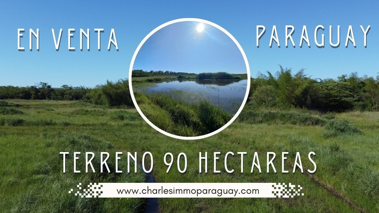 La Colmena - En Venta Terreno 90 Has en Paraguay #132