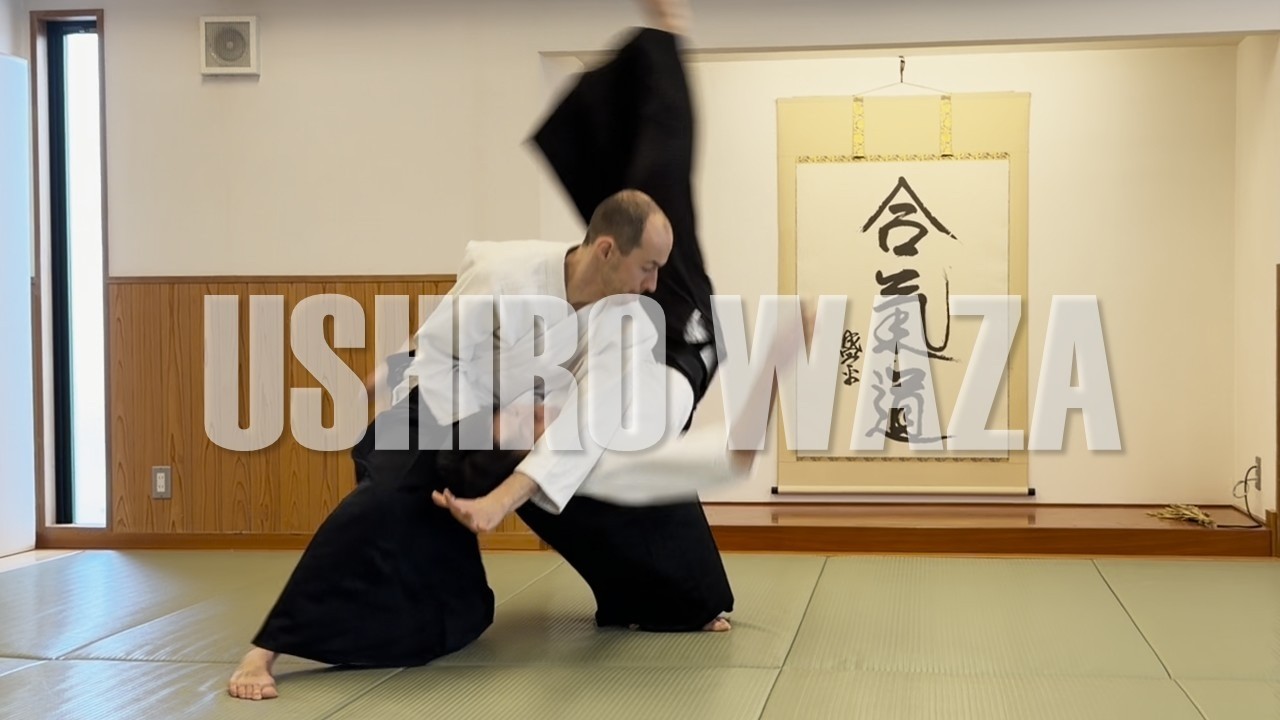 Dynamic Aikido - Ushiro Ryote-dori Compilation