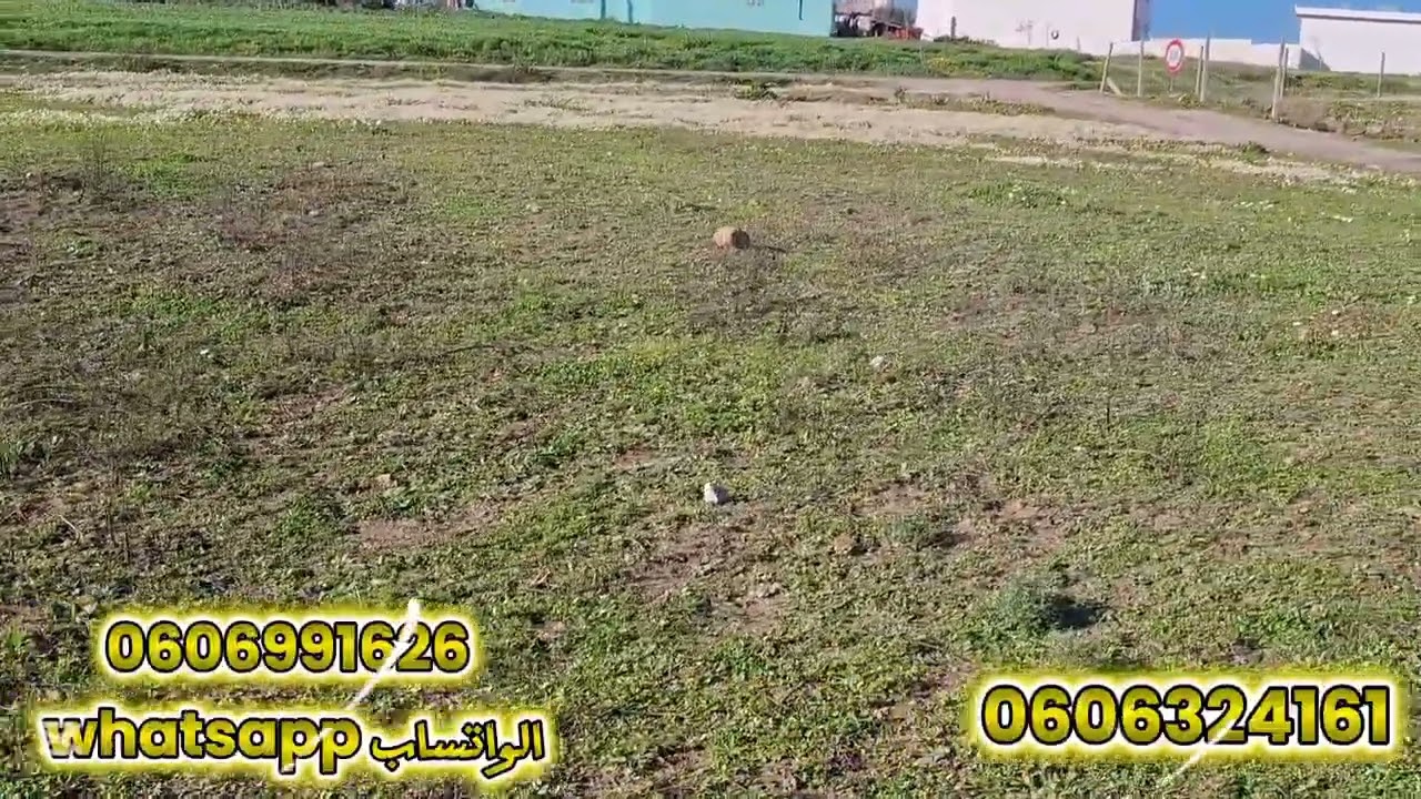 قطعة ارضيه 1500متر محفظة واصلا الماء والضوء والطريق في نواحي تطوان 