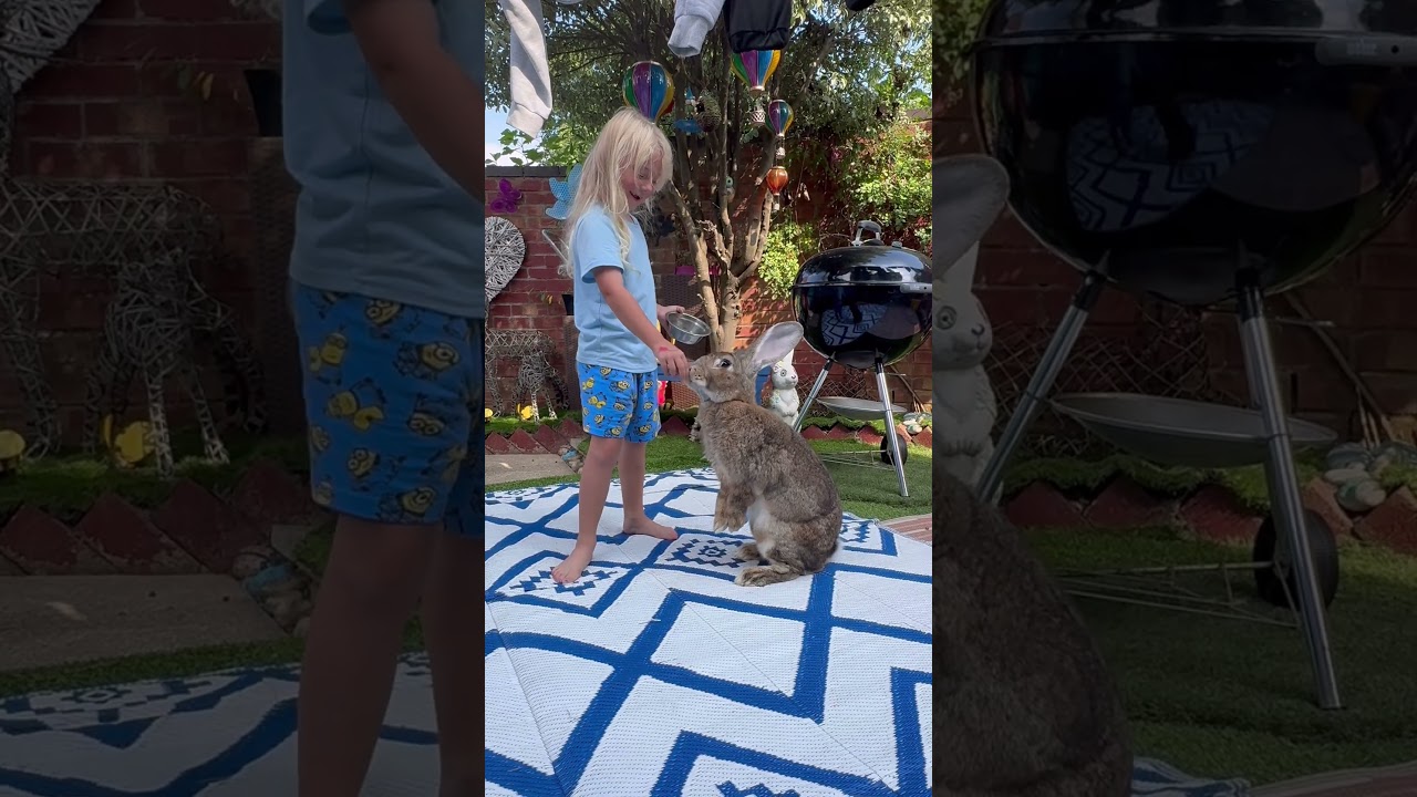10 November 2025