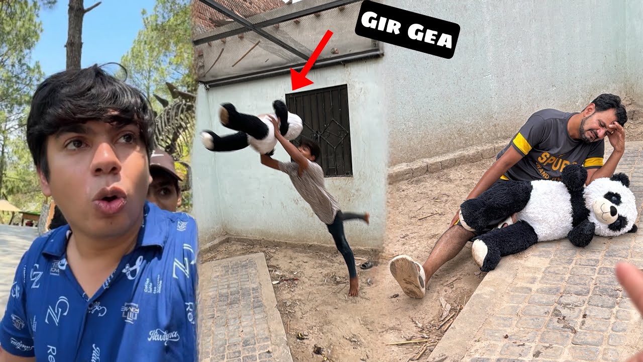 Panda Ko Kia Ho Gea 😰 Very Sad 😢