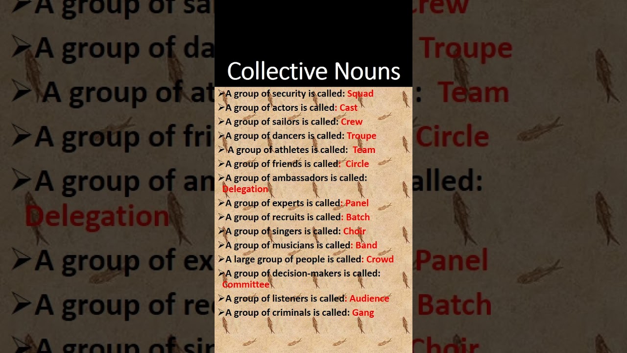 Collective Nouns General knowledge MCQ 