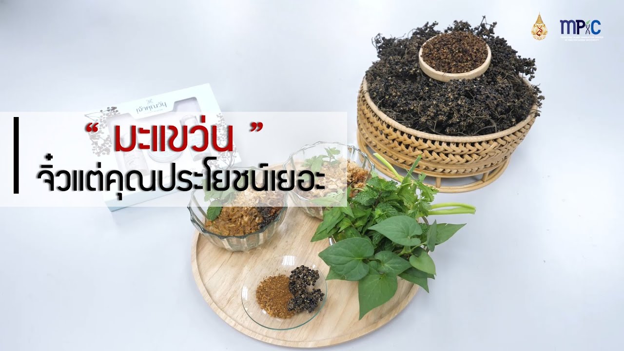 MFU HERB CHANNEL l ตอนที่ 2 