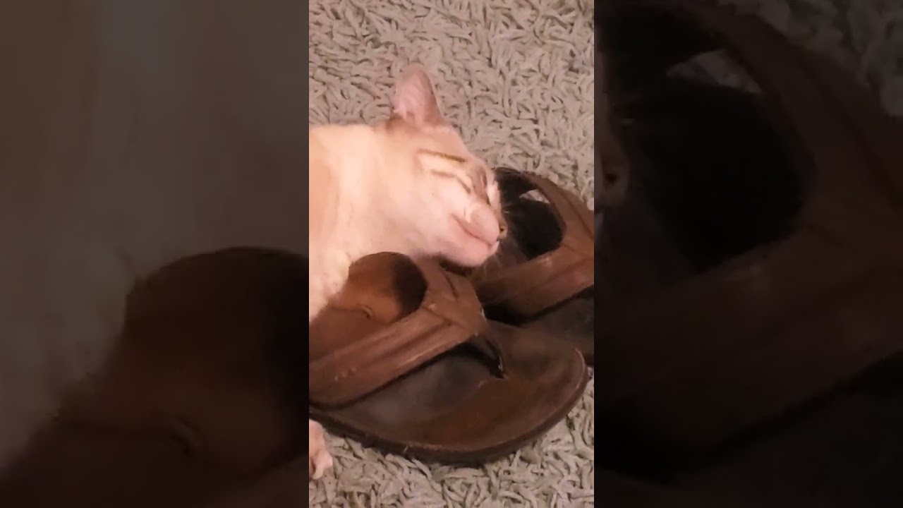 Love is dad's sandals