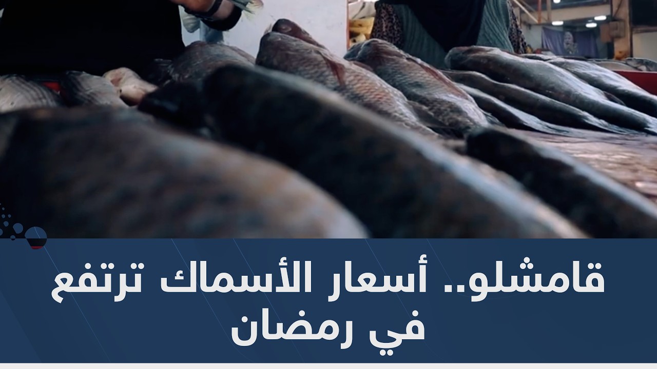 قامشلو.. أسعار الأسماك ترتفع في رمضان ودعوات لضبط الأسعار لتكون فوائدها الغذائية في متناول الجميع