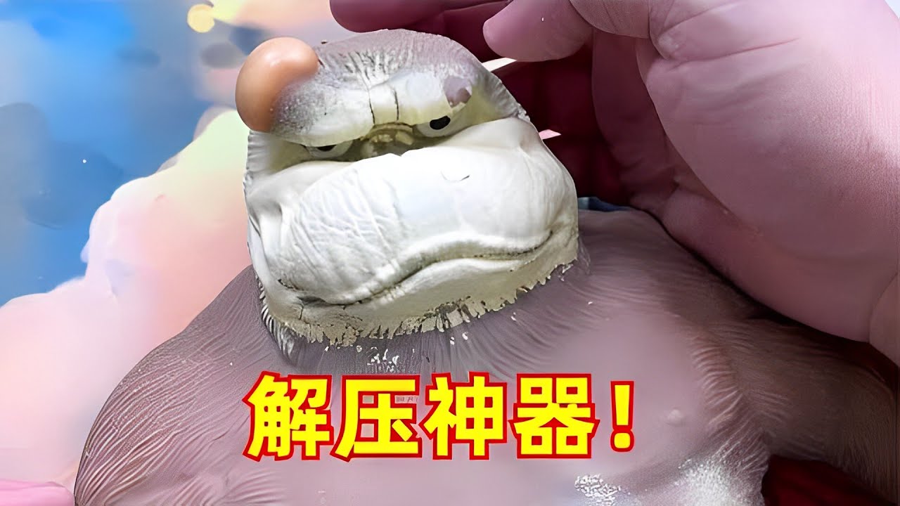【开箱合集05】开箱搞笑解压神器，品尝自制黑暗料理，揭秘网络真相