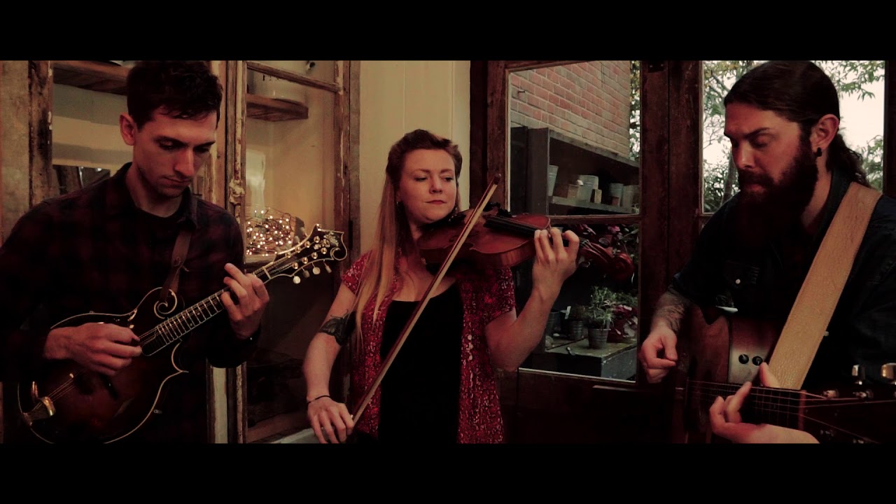 THE SHACKLETON TRIO - THE STANFORD (Live)