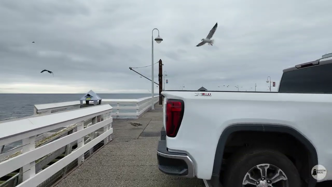 Santa Cruz Wharf Walk – Loud Sea Lions & Diving Pelicans (4K Silent) 🇺🇸