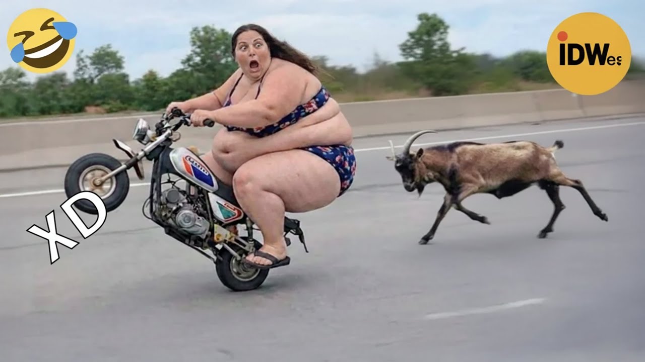 SI TE R&Iacute;ES PIERDES NIVEL DIOS #401 🤣 VIDEOS DE RISA MUY GRACIOSOS 2026😆