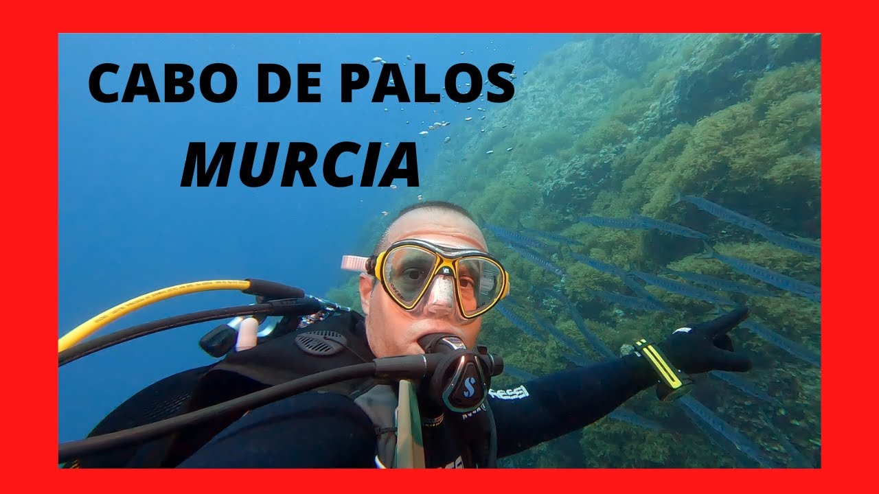 BUCEO en CABO DE PALOS, MURCIA JULIO 2022.