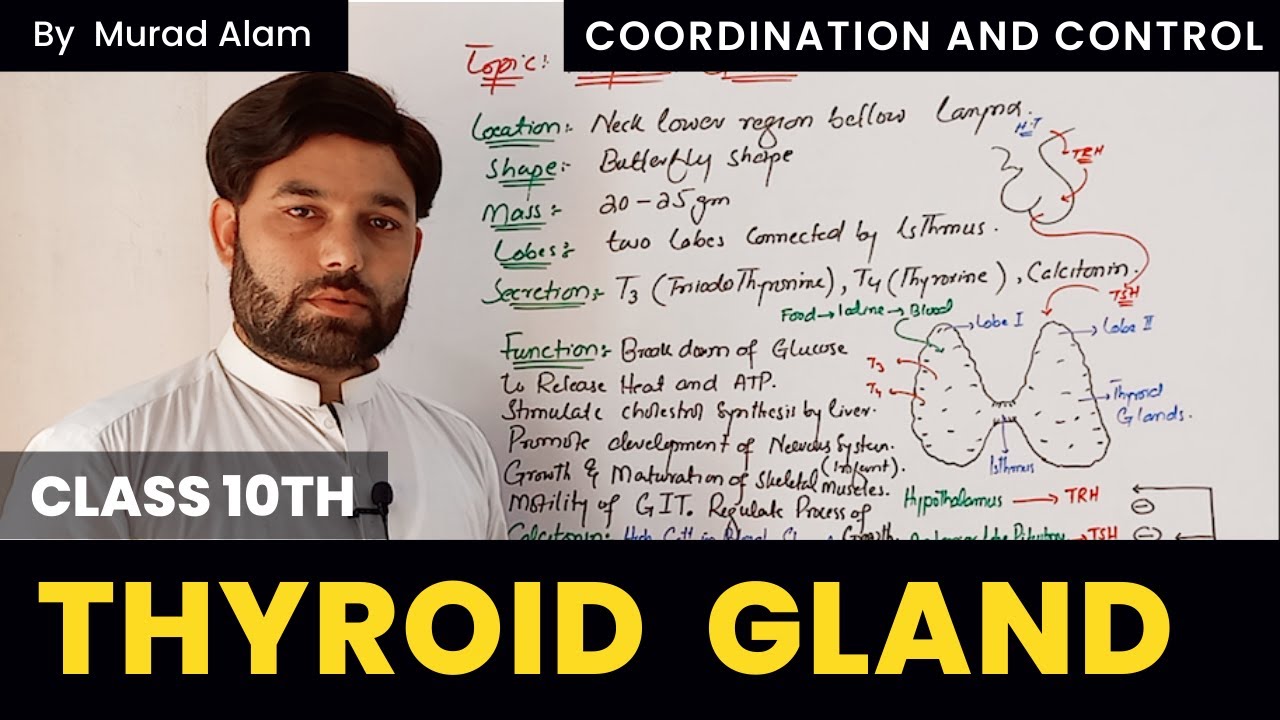 Thyroid Gland | Class 10th in Pashto | The Home of Science