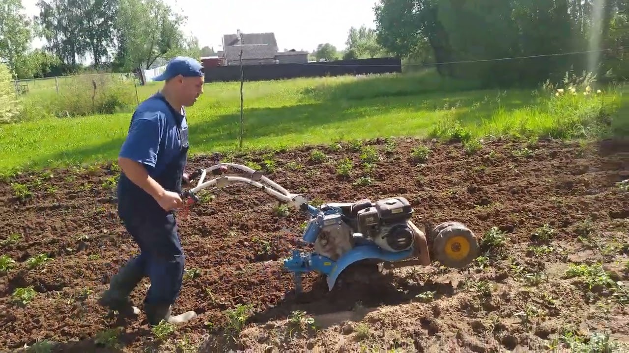 A homemade rotary hoe is in operation. #роторныйокучник в работе.