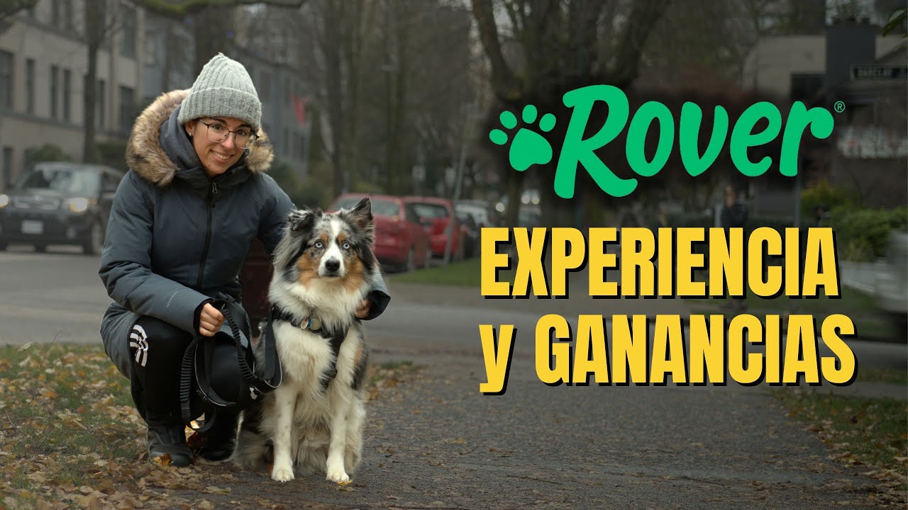 Mi experiencia cuidando perros 🐶 | Cuánto se gana? Rover