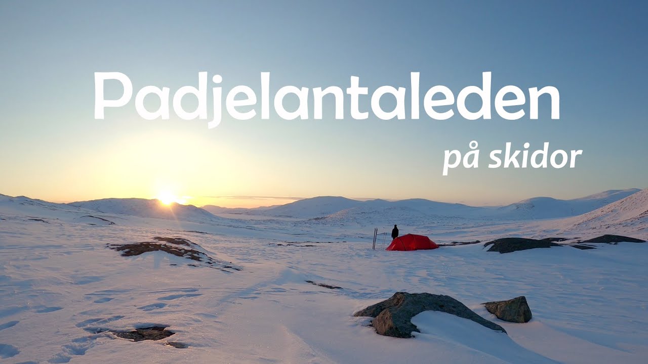 Padjelantaleden på skidor | 10 dygn med skidor, pulka och tält