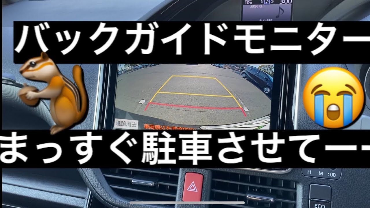バックガイドカメラ　⭐️駐車のコツ⭐️どこ見る👀