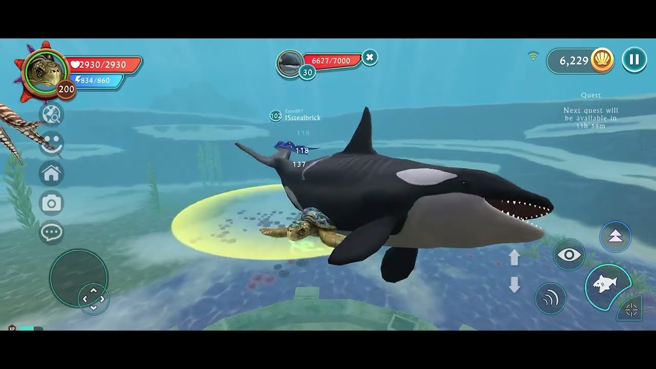Wildcraft Ocean World #wildcraft 