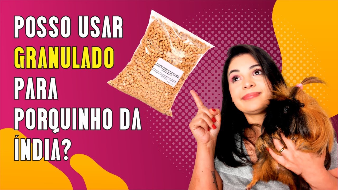 POSSO USAR GRANULADO PARA FORRAR O CERCADO DO MEU PORQUINHO DA ÍNDIA?