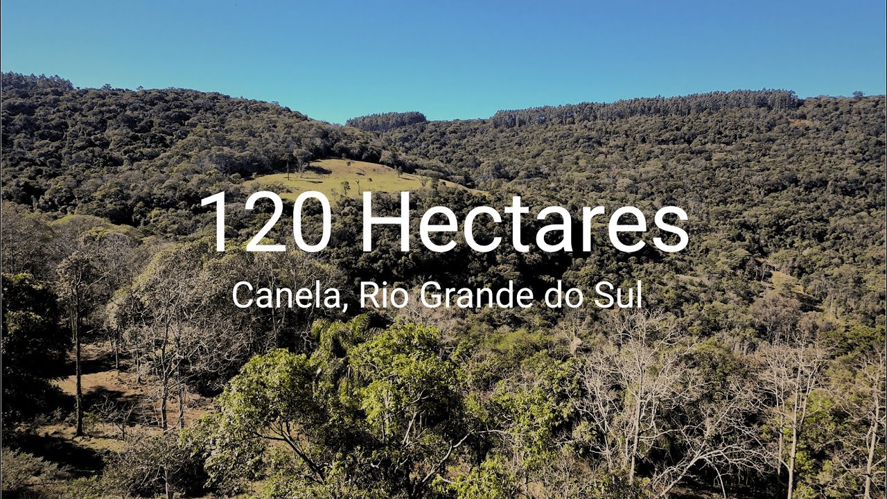 Joia Rara da Serra Gaúcha – Área de 120 Hectares em Canela/RS Preço Imperdível de R$5.940.000