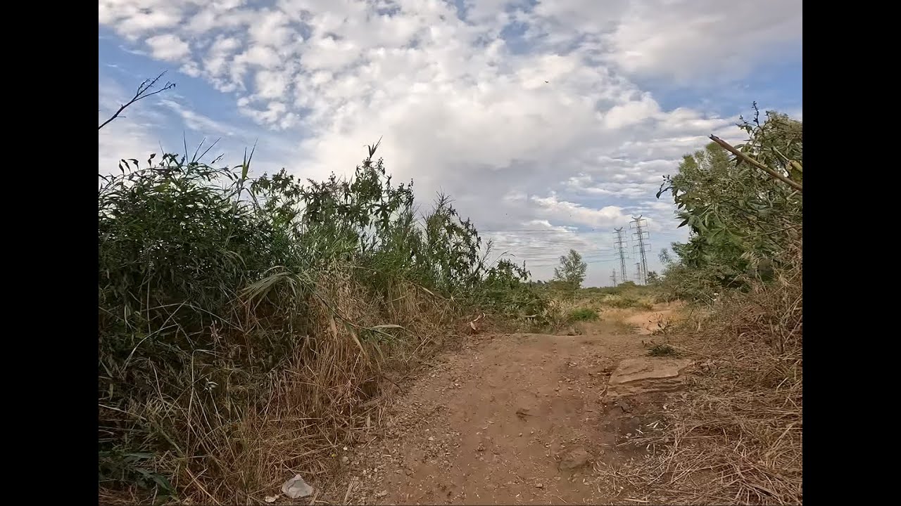 Challenging off-road cycling on bikes from Tel Aviv to Givat Shmuel via the Yarkon Trail - 4K
