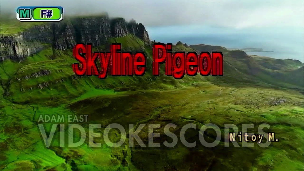 Elton John - Skyline Pigeon (Karaoke/Lyrics/Instrumental)
