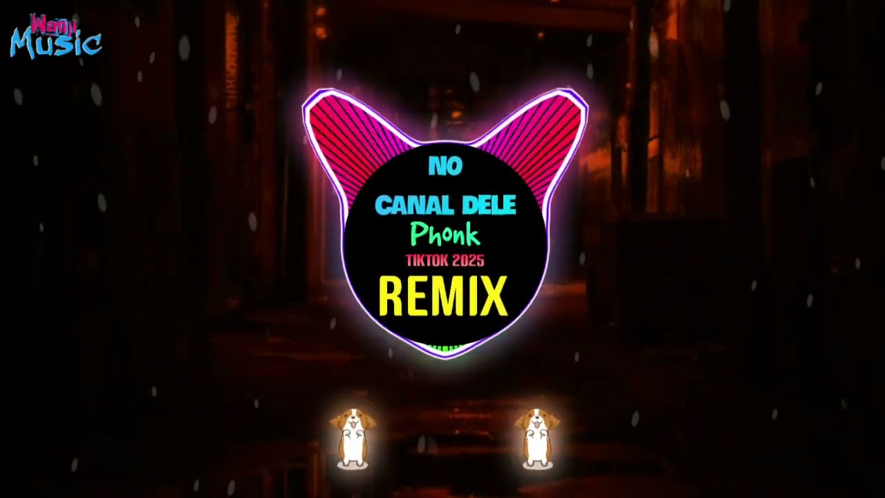 NO CANAL DELE (Phonk 2025) - A3LIZ || Funk Remix Tiktok Douyin DJ抖音热播版