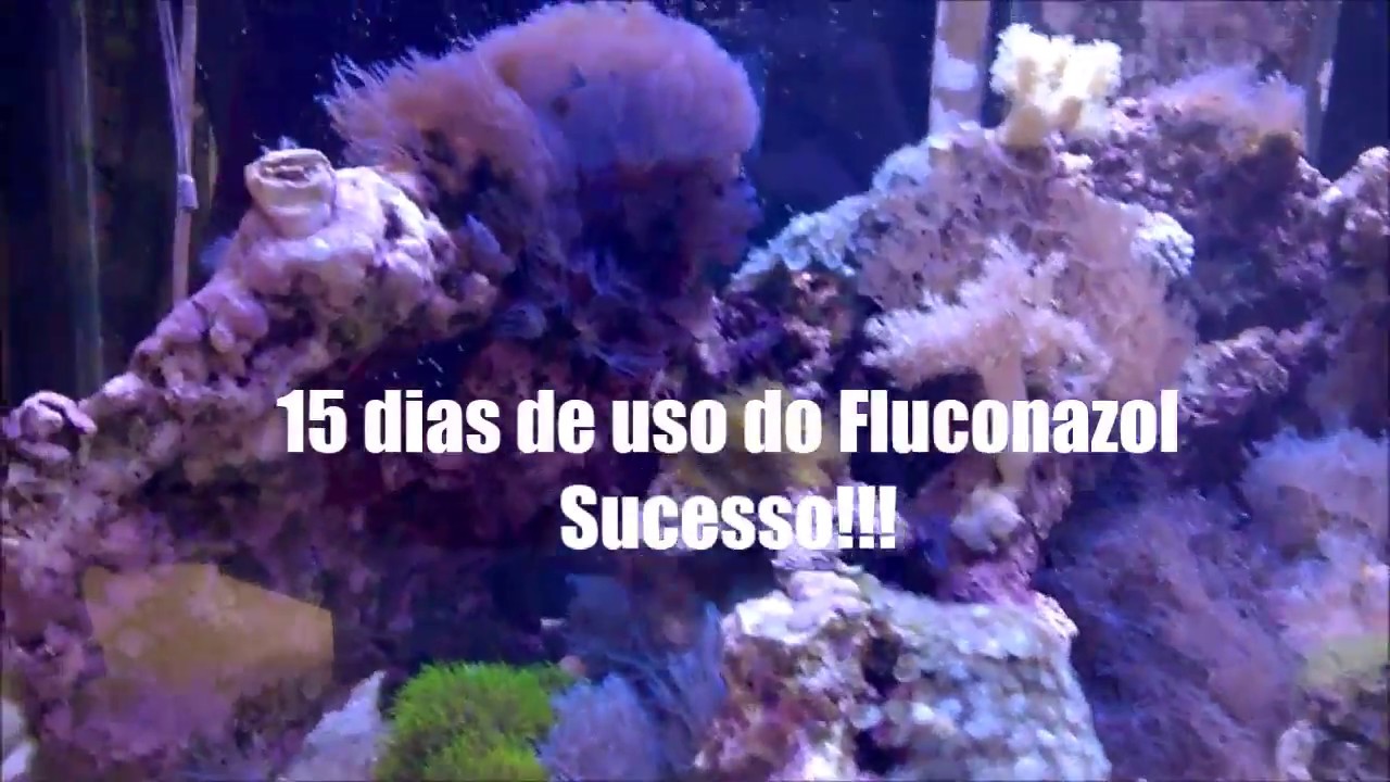 Tratamento com Fluconazol para aquario marinho
