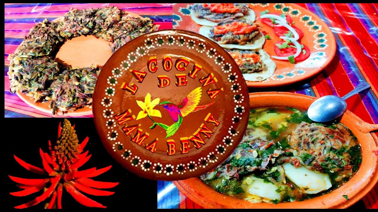 CALDO DE TORTA DE PICHOCO , COLORIN , TZOMPANTLE O PEMUCHES