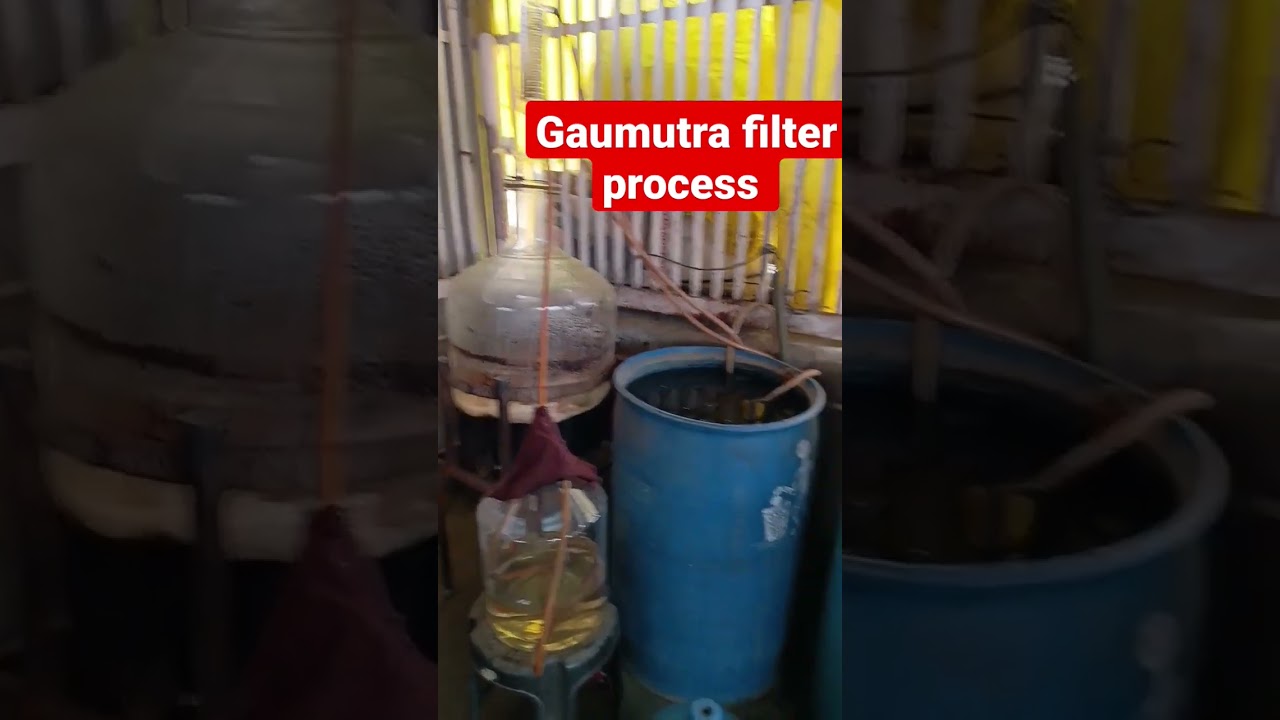 Gaumutra filter process|| #trending #viral #shorts_