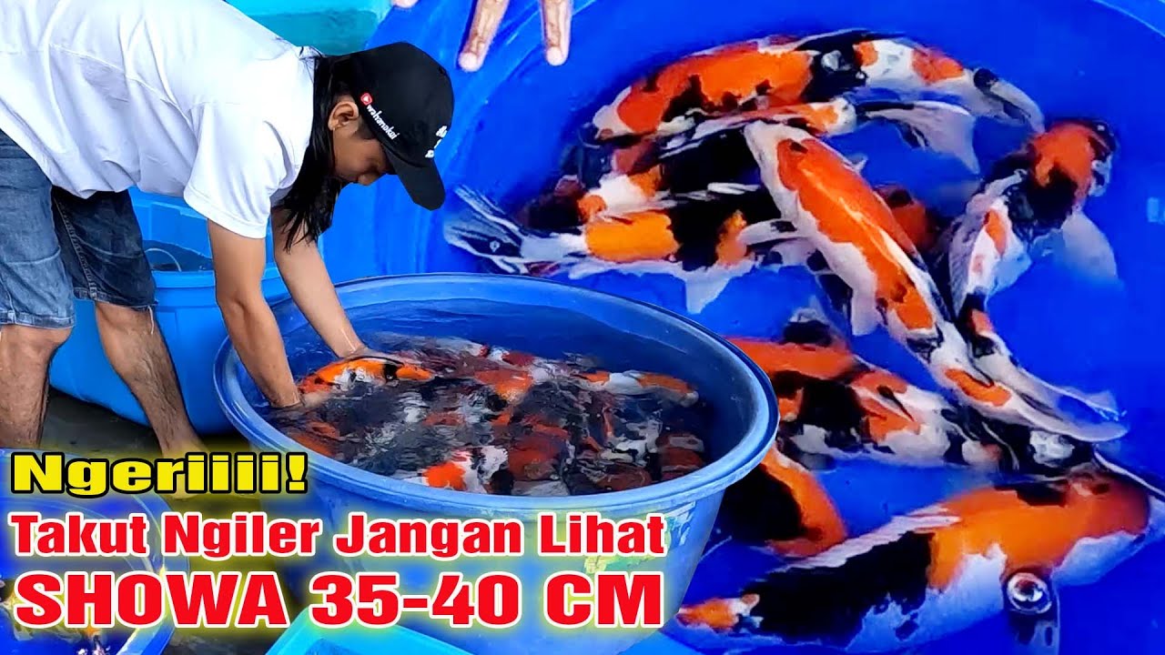 SHOWANYA NGERIII! BIKIN BAPER YANG LIHAT