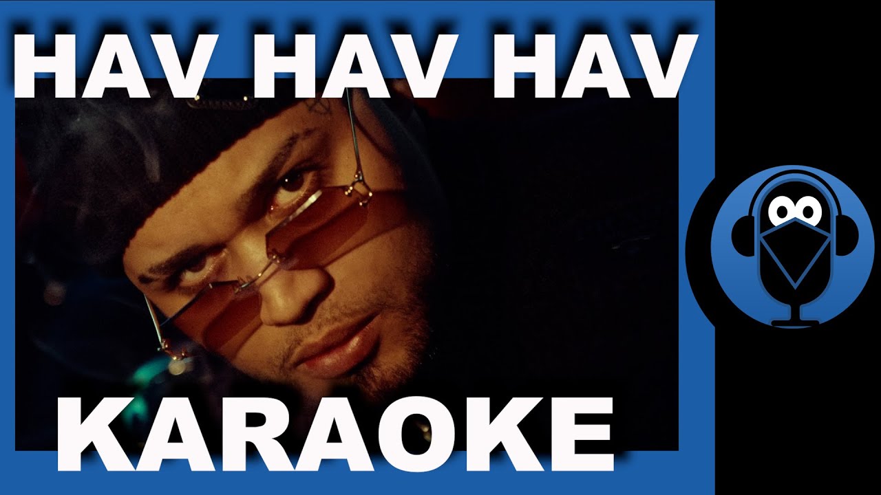 LVBEL C5 - HAVHAVHAV / (Karaoke)  / COVER