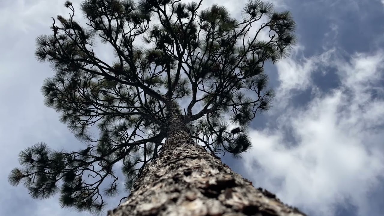 Nap While Staring At The Beautiful Clouds, Sleep While Hearing The Soft Wind Blow And Focus On You