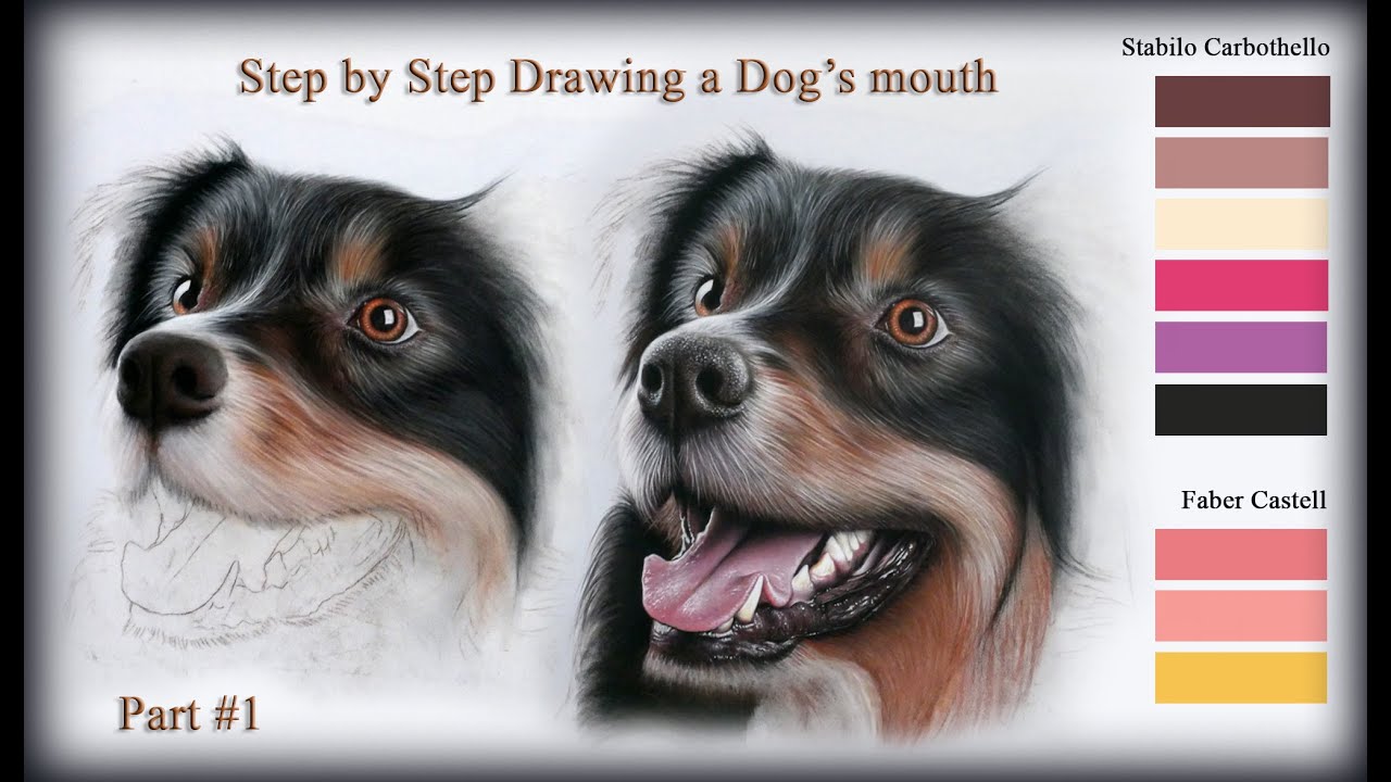 Drawing a Dog’s mouth with Pastel pencils – Part1/3 | Kazemfineart