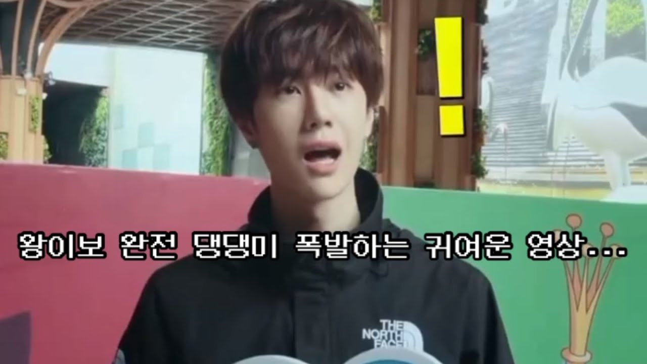 왕이보가 한국어로 말하고 한국인이 중국어로 대답하는 영상(?)