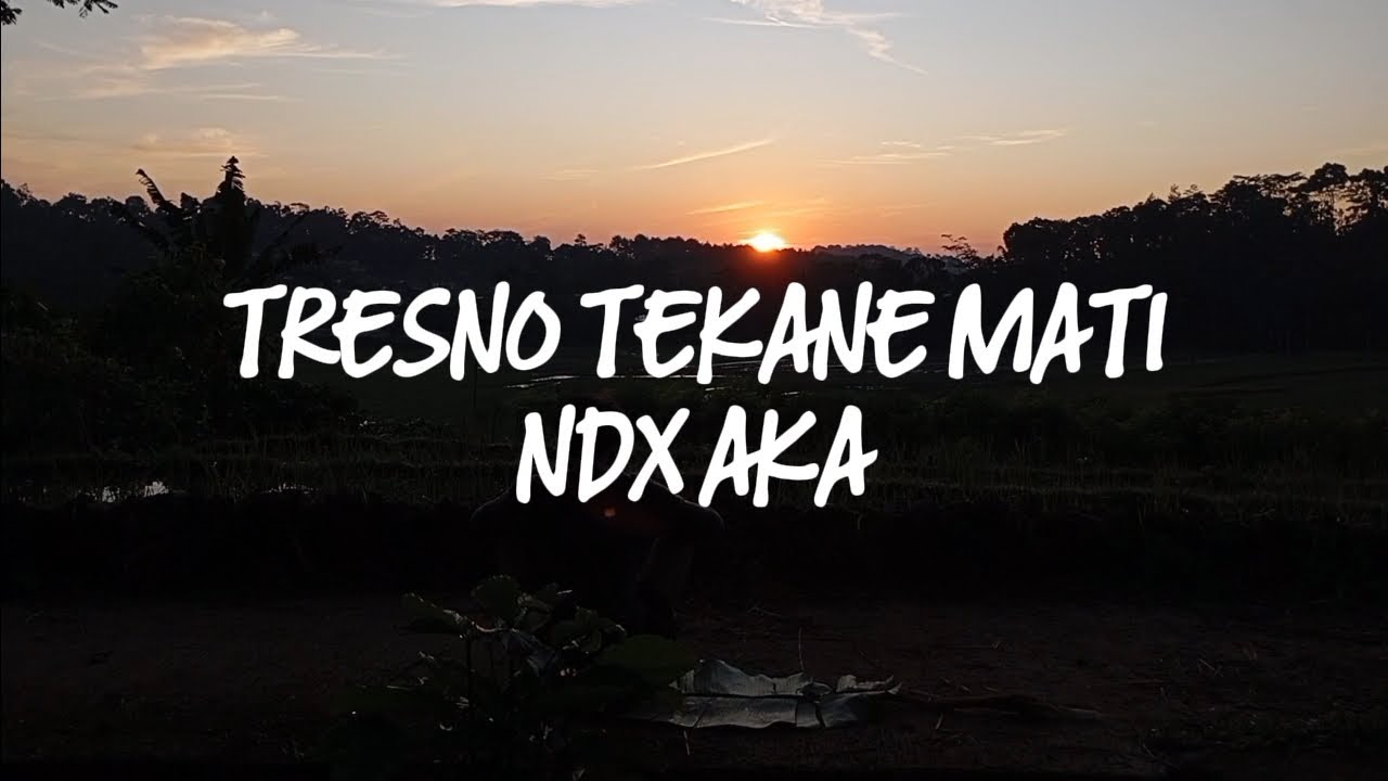 TRESNO_TEKANE_MATI [ NEW VERSION BY NDX AKA ] #ndxaka #ndx #repost
