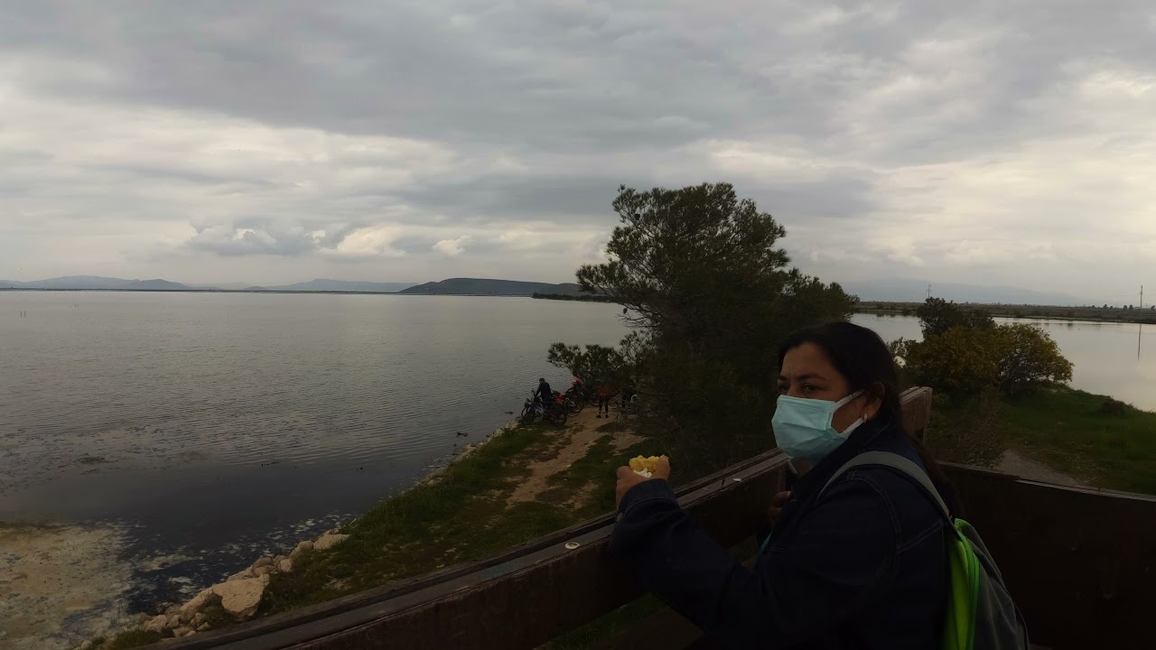Walking Tour Kuş Cenneti,  Birds National Park, Tuzla, İzmir 4K
