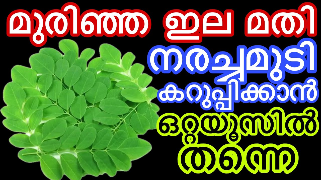 ഒറ്റയൂസിൽ തന്നെ നരച്ചമുടി കറുപ്പിക്കാം കെമിക്കൽ ഇല്ലാതെ